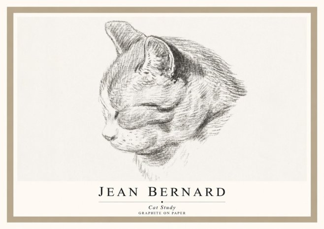Jean Bernard Cat Study I No1 - Poszter