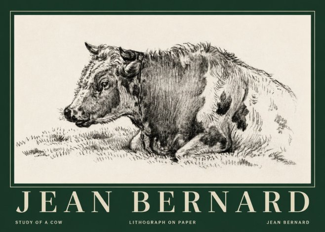 Jean Bernard Resting Cow I No5 - Poszter