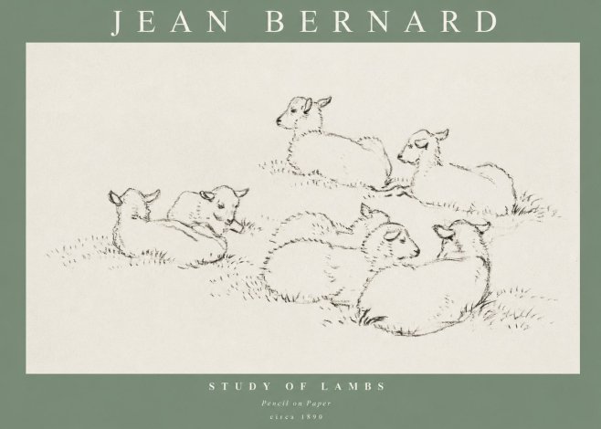 Jean Bernard Study of Lambs No1 - Poszter