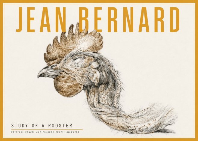 Jean Bernard Study of a Rooster Head No5 - Poszter