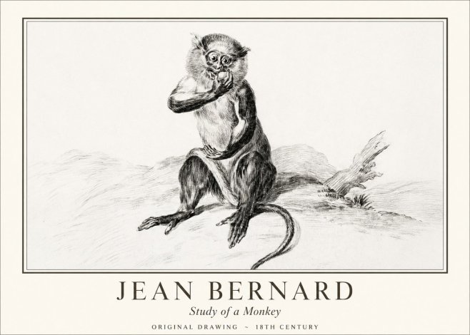 Jean Bernard Study of a Monkey No1 - Poszter