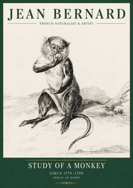 Jean Bernard Study of a Monkey No5 - Poszter