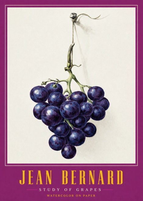 Jean Bernard Grapes No3 - Poszter