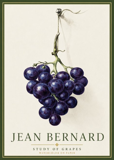 Jean Bernard Grapes No5 - Poszter