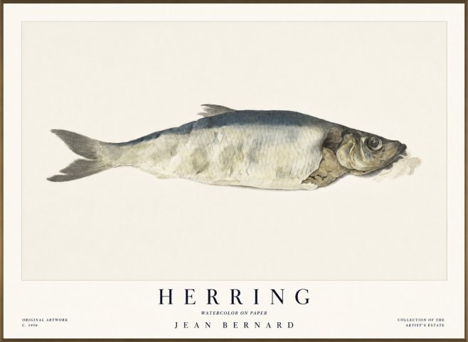 Jean Bernard Herring No1 - Poszter