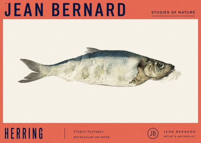 Jean Bernard Herring No4 - Poszter
