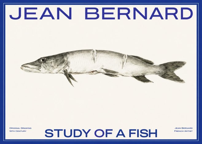 Jean Bernard Study of a Fish II No2 - Poszter