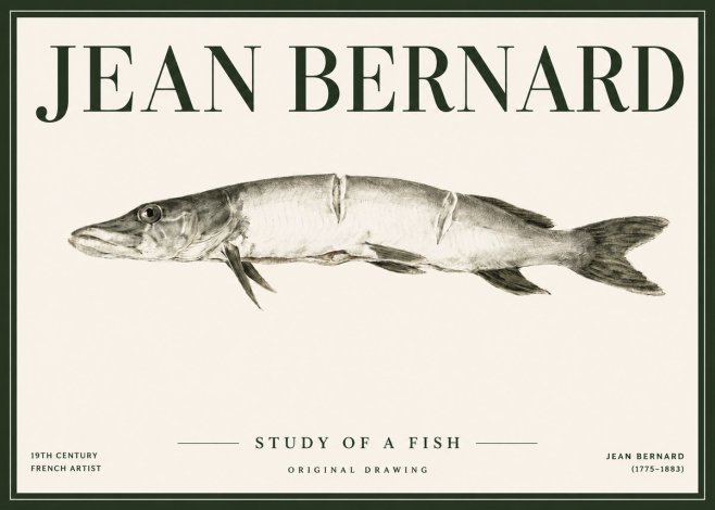 Jean Bernard Study of a Fish II No4 - Poszter
