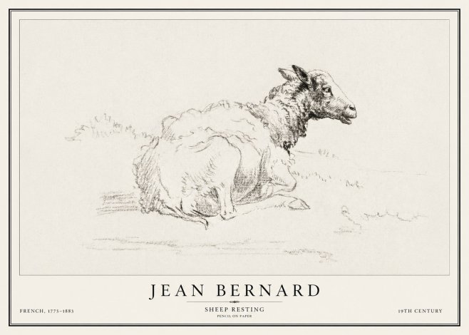 Jean Bernard Sheep Resting No1 - Poszter