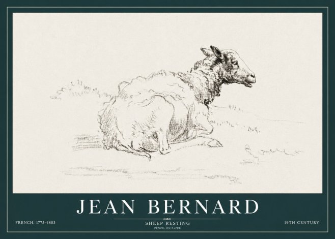 Jean Bernard Sheep Resting No3 - Poszter