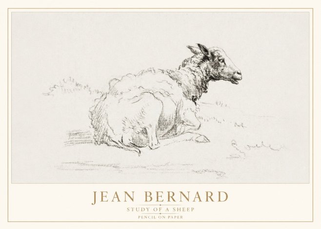 Jean Bernard Sheep Resting No4 - Poszter