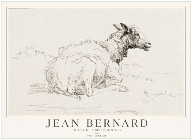Jean Bernard Sheep Resting No5 - Poszter