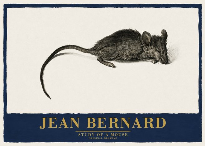 Jean Bernard Study of a Mouse I No2 - Poszter