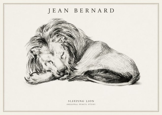 Jean Bernard Sleeping Lion No1 - Poszter
