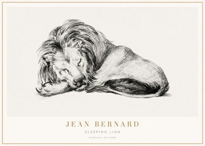 Jean Bernard Sleeping Lion No3 - Poszter