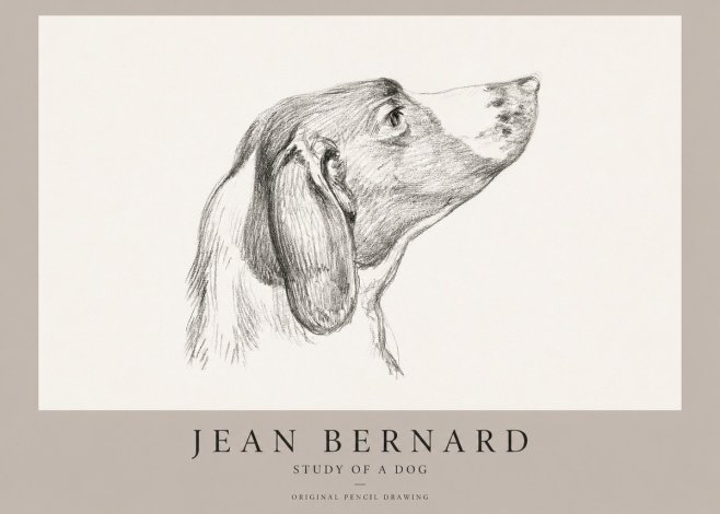Jean Bernard Study of a Dog I No1 - Poszter