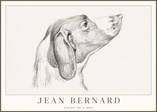 Jean Bernard Study of a Dog I No2 - Poszter