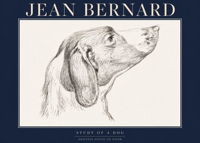 Jean Bernard Study of a Dog I No4 - Poszter