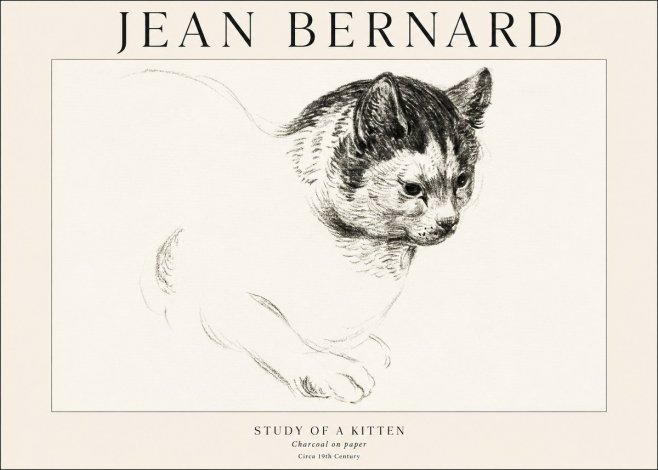 Jean Bernard Study of a Kitten I No1 - Poszter