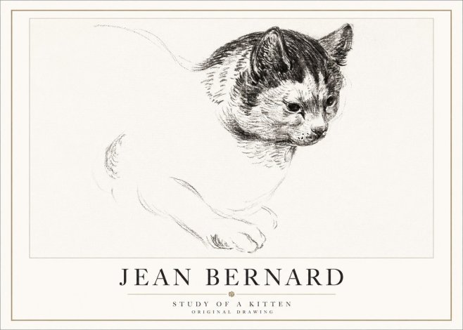 Jean Bernard Study of a Kitten I No5 - Poszter