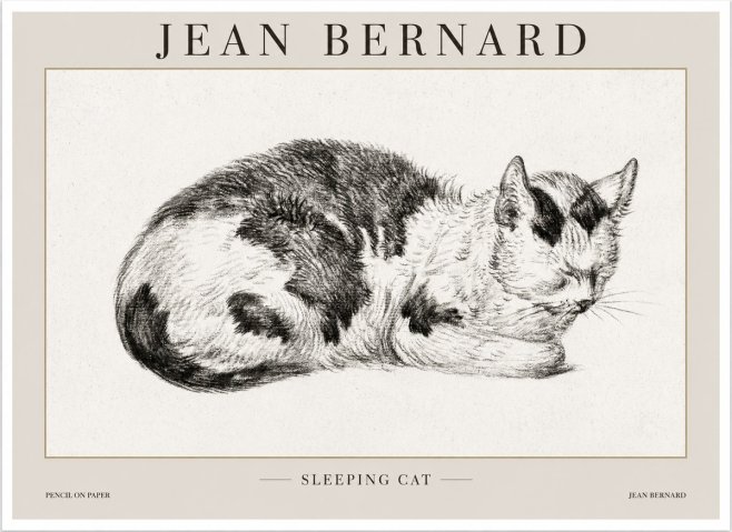 Jean Bernard Sleeping Cat I No1 - Poszter