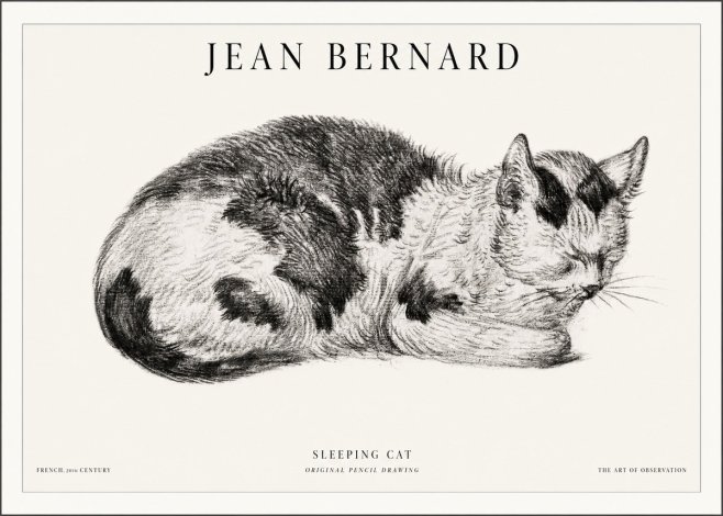 Jean Bernard Sleeping Cat I No5 - Poszter