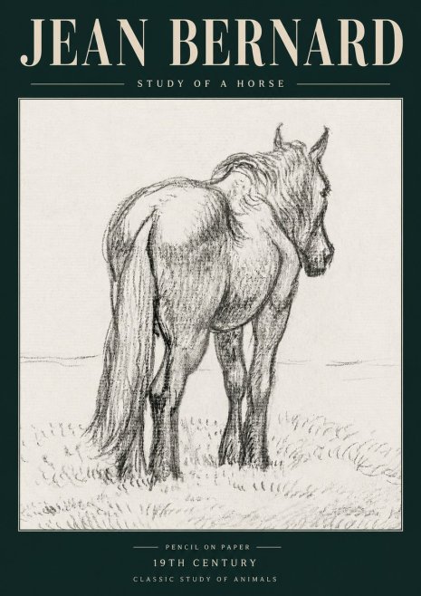 Jean Bernard Study of a Horse II No5 - Poszter
