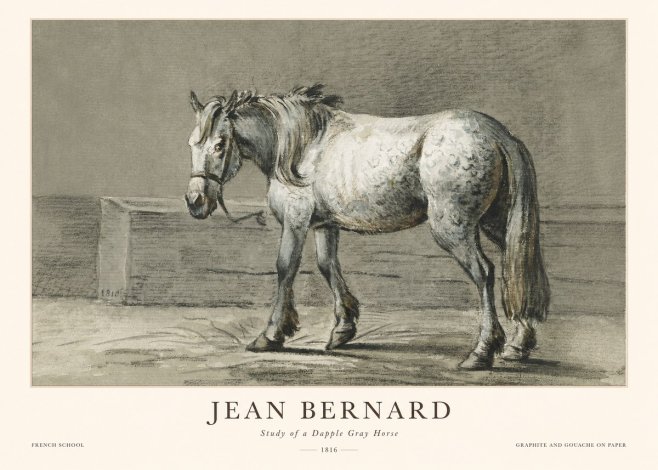 Jean Bernard Study of a Dapple Gray Horse No1 - Poszter