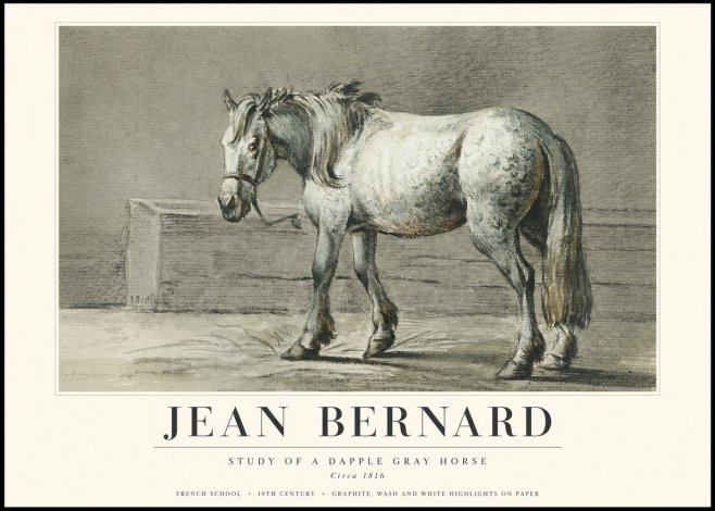 Jean Bernard Study of a Dapple Gray Horse No3 - Poszter