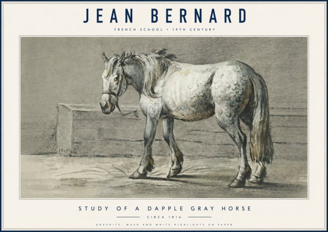 Jean Bernard Study of a Dapple Gray Horse No6 - Poszter
