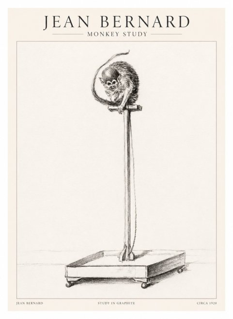 Jean Bernard Monkey Study No1 - Poszter