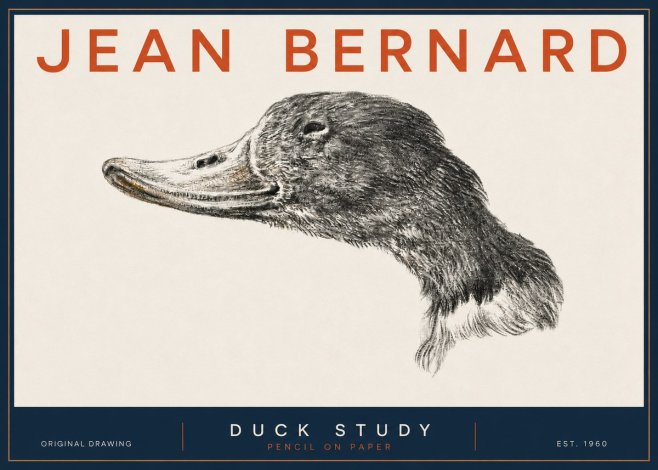 Jean Bernard Study of a Duck No5 - Poszter
