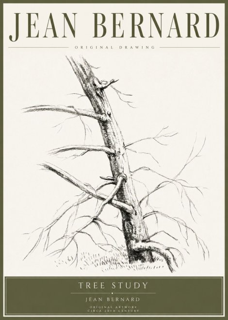 Jean Bernard Tree Study No4 - Poszter