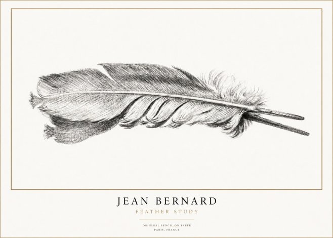Jean Bernard Feather No3 - Poszter