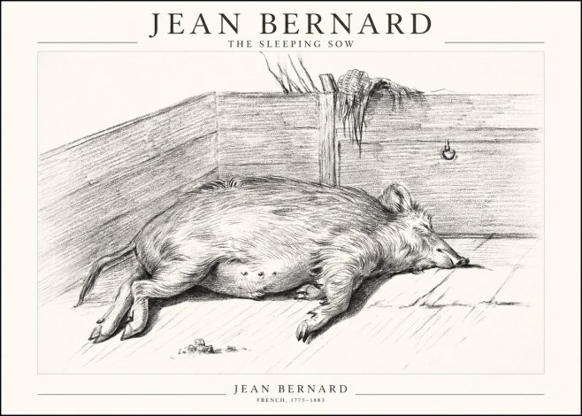 Jean Bernard The Sleeping Sow No1 - Poszter