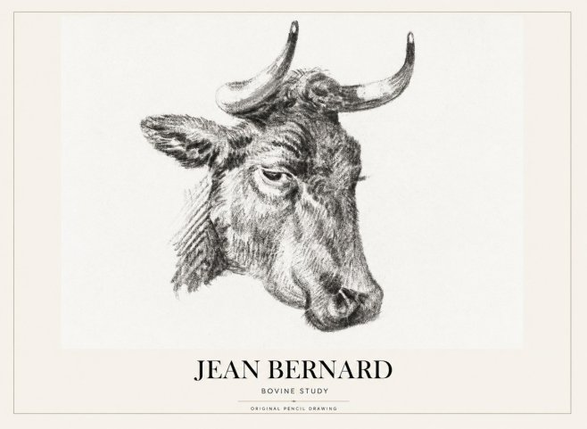 Jean Bernard Bovine Study I No1 - Poszter