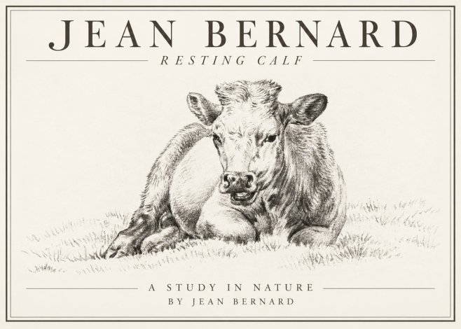 Jean Bernard Resting Calf I No1 - Poszter