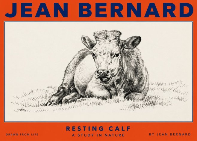 Jean Bernard Resting Calf I No2 - Poszter