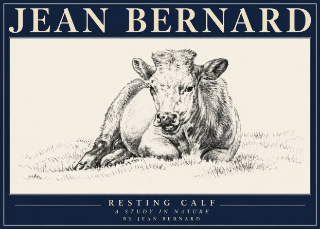 Jean Bernard Resting Calf I No4 - Poszter