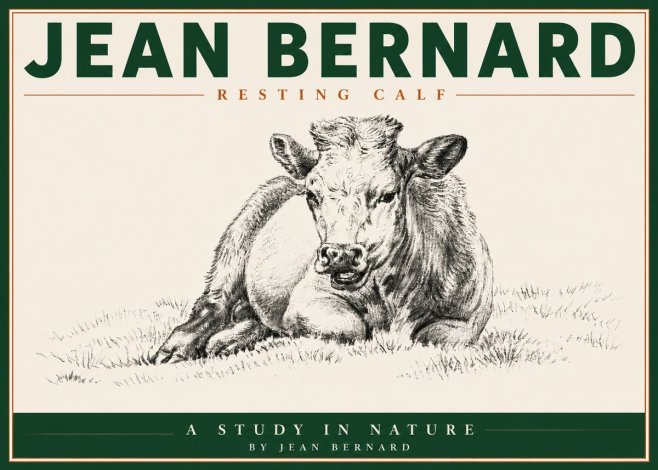 Jean Bernard Resting Calf I No5 - Poszter