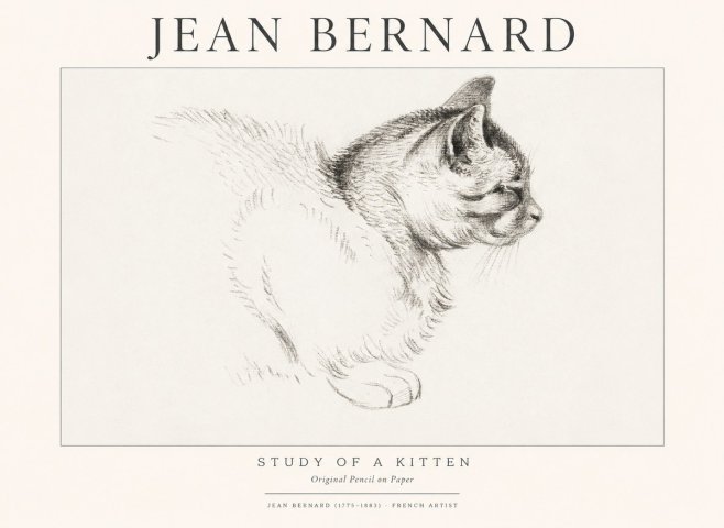 Jean Bernard Study of a Kitten II No1 - Poszter