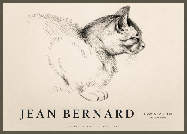 Jean Bernard Study of a Kitten II No2 - Poszter