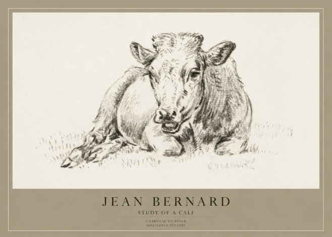 Jean Bernard Resting Calf II No4 - Poszter