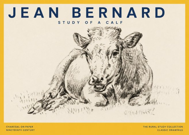 Jean Bernard Resting Calf II No5 - Poszter