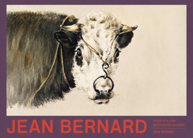 Jean Bernard Study of a Cow I No2 - Poszter