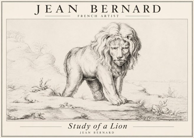 Jean Bernard Study of a Lion I No3 - Poszter