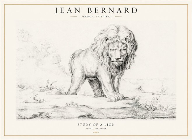 Jean Bernard Study of a Lion I No4 - Poszter