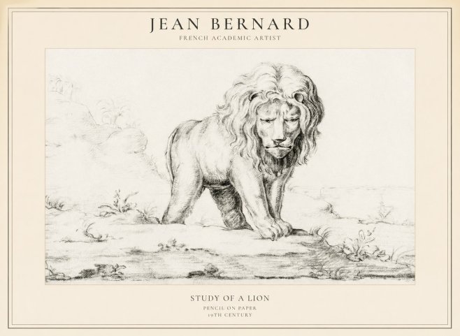 Jean Bernard Study of a Lion I No5 - Poszter