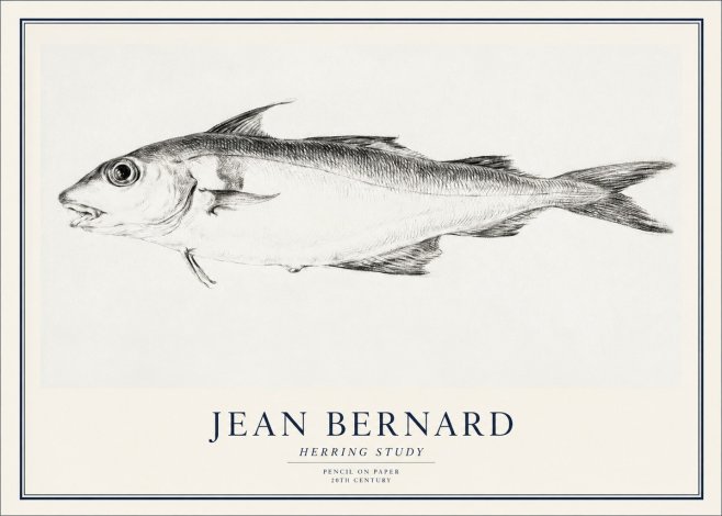 Jean Bernard Herring Study No1 - Poszter