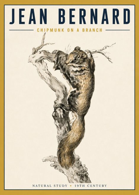 Jean Bernard Study of a Squirrel Climbing a Branch No5 - Poszter
